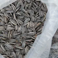 محصولات خوراکی