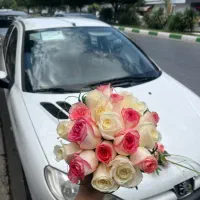 ماشین عروس|گل مصنوعی|مشهد, شهرک رازی (شهرک غرب)|دیوار