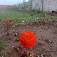 فروش باغ ویلا