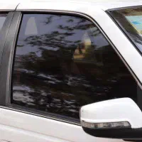 دودی شیشه و نصب انواع برچسب