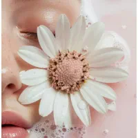 کارآموز و دستیار فیشال