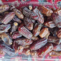 خرمای تازه|خوردنی و آشامیدنی|شیراز, دارالرحمه|دیوار