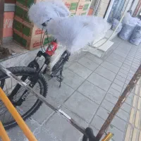 دوچرخه سالم