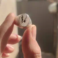 انگشتر نقره شجر رگه دار قائن