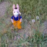 عروسک   بافتنی   هنر دست