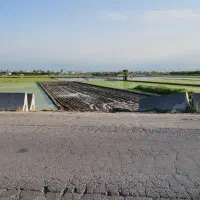 فروش-زمین-پلاک-اول-کمربندی-جنوبی-بابل