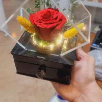 گل رز جاودان طبیعی کشودار موزیکال در رنگ مختلف|گل و گیاه طبیعی|تهران, میدان ولیعصر|دیوار