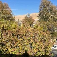 تهاتر-پلاک-2500-متر-شاهد