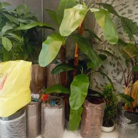 فروش گل مصنوعی