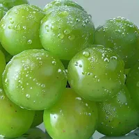 فروشنده سبزی