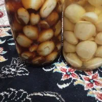 ترشی و رب خانگی|خوردنی و آشامیدنی|مشهد, شهرک مهر آباد|دیوار