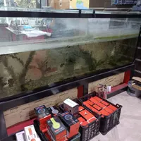 اکواریوم بزرگ