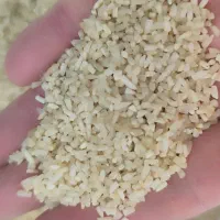 برنج نیم دانه بافکر دودی