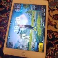 iPad mini 5|تبلت|تهران, امام حسین|دیوار