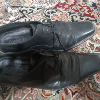 کفش|کیف، کفش، کمربند|شیراز, معالی‌آباد|دیوار