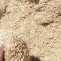 کاه گندم و جو دیمی