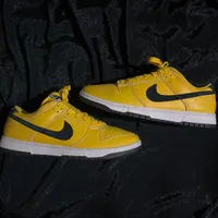 کتونی نایک dunk sb low|کیف، کفش، کمربند|تهران, جردن|دیوار