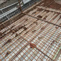 قفس جوجه|لوازم جانبی حیوانات|ساری, |دیوار