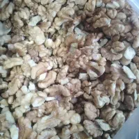 مغز گردو امسالی ...تویسرکان