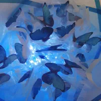 دسته گل پروانه ای|گل مصنوعی|فسا, |دیوار