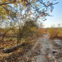 فروش باغ ،معاوضه با خانه یا اپارتمان|فروش دفتر صنعتی، کشاورزی، تجاری|مراغه, |دیوار