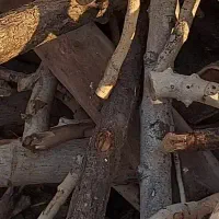 تیر چوب و تیرسقفی کهنه و زغالی خری