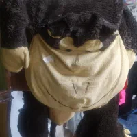 عروسک . بازی فکری|اسباببازی|نیشابور, فردوسی جنوبی|دیوار