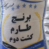 طارم هاشمی کشت دوم به شرط پخت صددرصد ع ا ل ی