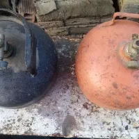 پیک نیک. دوعدد.