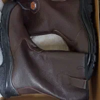 کفش ایمنی ارگ