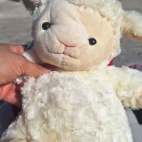 عروسک اسباب بازی|اسباببازی بچه|کوهدشت, |دیوار