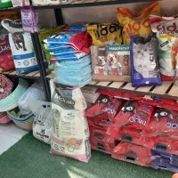 تجهیزات سگ وگربه|لوازم جانبی حیوانات|برازجان, |دیوار