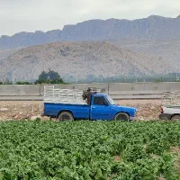 وانت نیسان بار برای همه شهرهای ایران