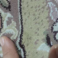 فرش تمام نخ دوتا ۶متری|فرش|کرمانشاه, |دیوار