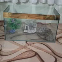 آکواریوم شیشه خمیده و پمپ ماهی