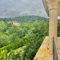 عمارت 450متری سند ویوکامل جنگل *2میلیارد زیر قیمت|فروش خانه و ویلا|نور, |دیوار