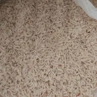 برنج هاشمی اعلا