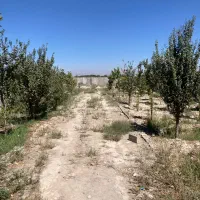 فروش-باغچه-870متری-تهاتر-خوشنام-سندتک-برگ