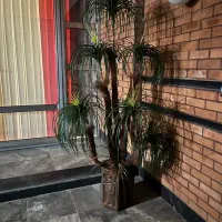 درختچه مصنوعی بزرگ و زیبا|گل مصنوعی|قم, صدوق|دیوار