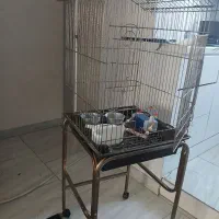 قفس با پایه و لوازم داخلش