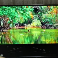 تلویزیون ال ای دی سامسونگ ۵۵اینچ