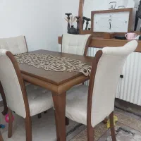 میزناهارخوری نو نو