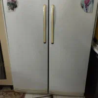 یخجال دوقلو هیمالیا سالم