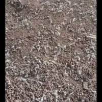 فروش کود مرغ