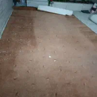 64متر موکت سالم