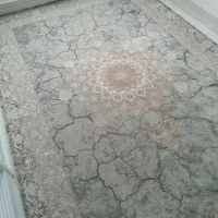 فرش 9 و 6|فرش|ری, شهادت|دیوار