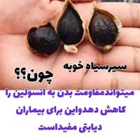 سیر سیاه|خوردنی و آشامیدنی|ساری, |دیوار