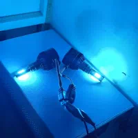 هدلایت یخی جفت