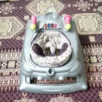 کریروروروئک وآغوشی نوزادوتاب بچه|کالسکه و لوازم جانبی|قم, آذر (نکویی)|دیوار