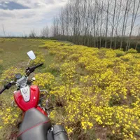 خرجین موتور اونجر|قطعات یدکی و لوازم جانبی|رشت, حمیدیان|دیوار